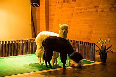 《异形：火力小队》第四季支持跨平台联机